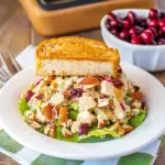 Turkey Salad with Cranberries & Pecans